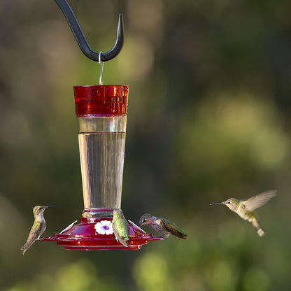Classic Brands Vaso de vidrio con 5 Estaciones de alimentación, comedero de colibrí color rubí, capacidad de néctar de colibrí de 10 onzas