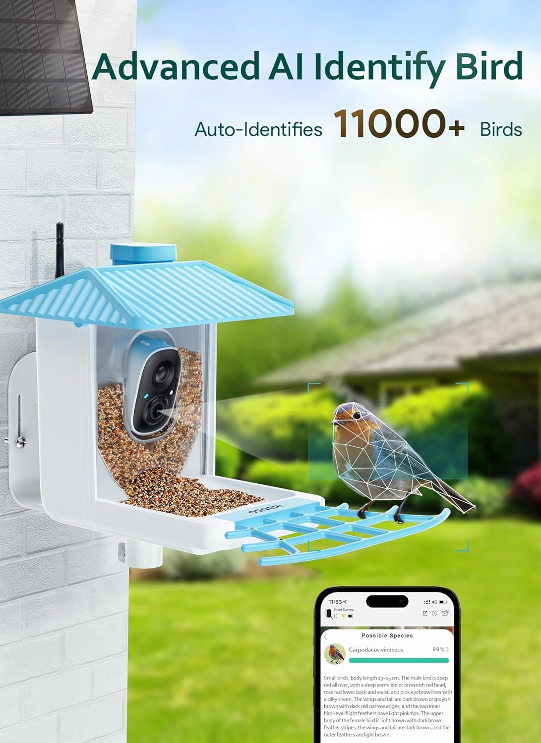 Osoeri - Alimentador Inteligente para pájaros con cámara, cámara de observación de Aves Silvestres HD de 1080P, Captura automática de Videos de Aves y detección de Movimiento