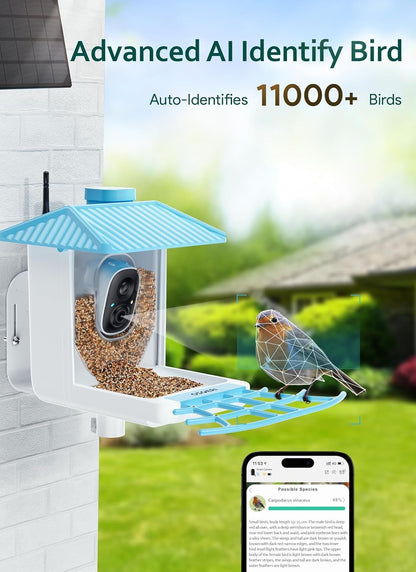 Osoeri - Alimentador Inteligente para pájaros con cámara, cámara de observación de Aves Silvestres HD de 1080P, Captura automática de Videos de Aves y detección de Movimiento