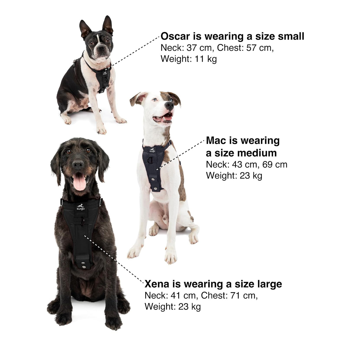 Kurgo Dog Harness | Car Harness for Dogs | Medium | Black | Pet Safety Seat Belt | Certified Crash Tested Harness | Car Seatbelt | Tru-Fit Enhanced Strength Style