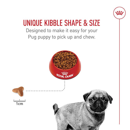 ROYAL CANIN, Puppy - Pug, Croquetas para Perro, 1.1kg