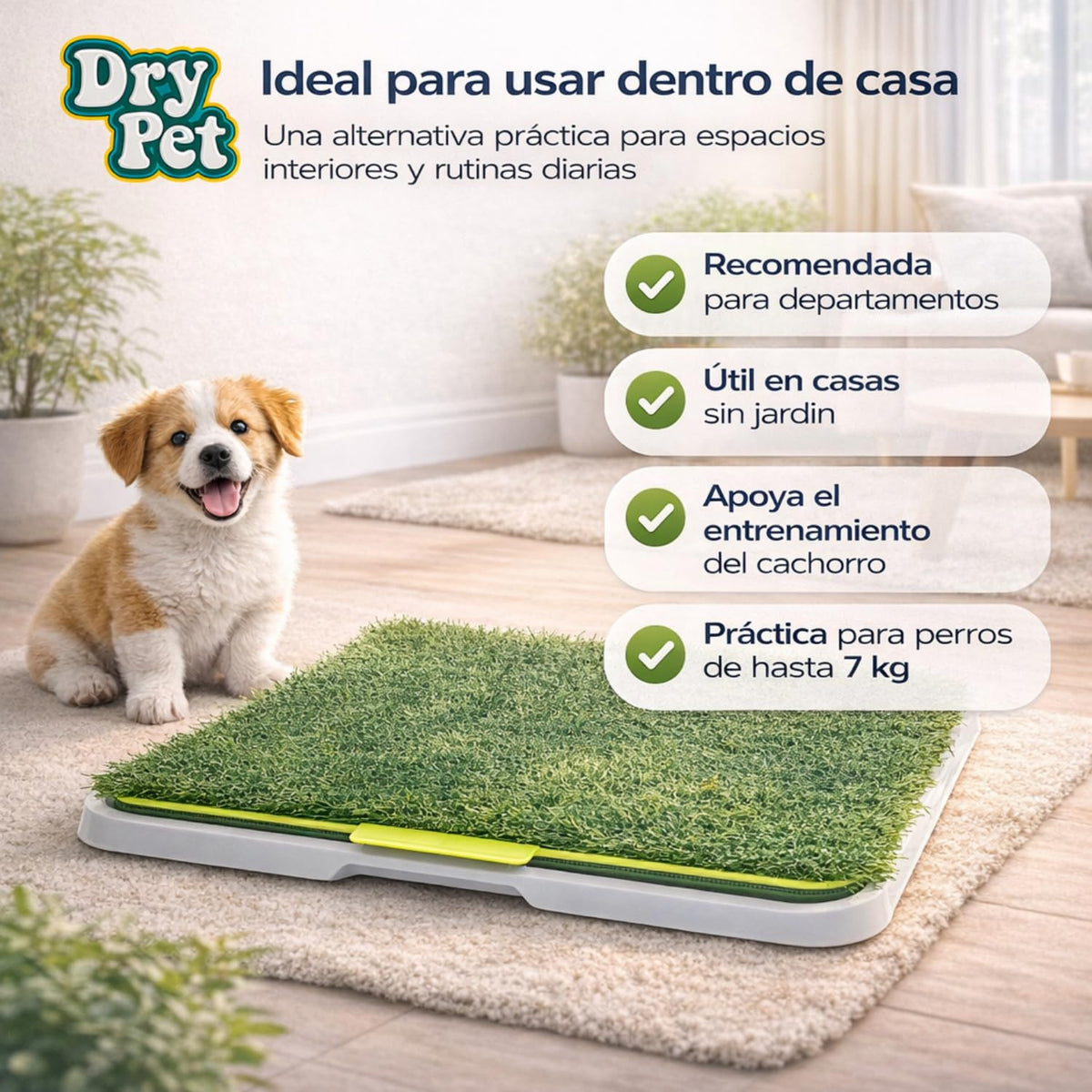 Fancy Pets Dry Pet Doggie Grass Tapete Entrenador para Perro Tamaño Chico