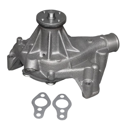 ACDelco Gold Bomba de Agua para Motor 252-719