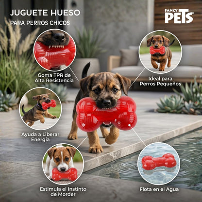 Fancy Pets Juguete Hueso Xtreme para Perros Chicos de Goma Resistente y Flotante