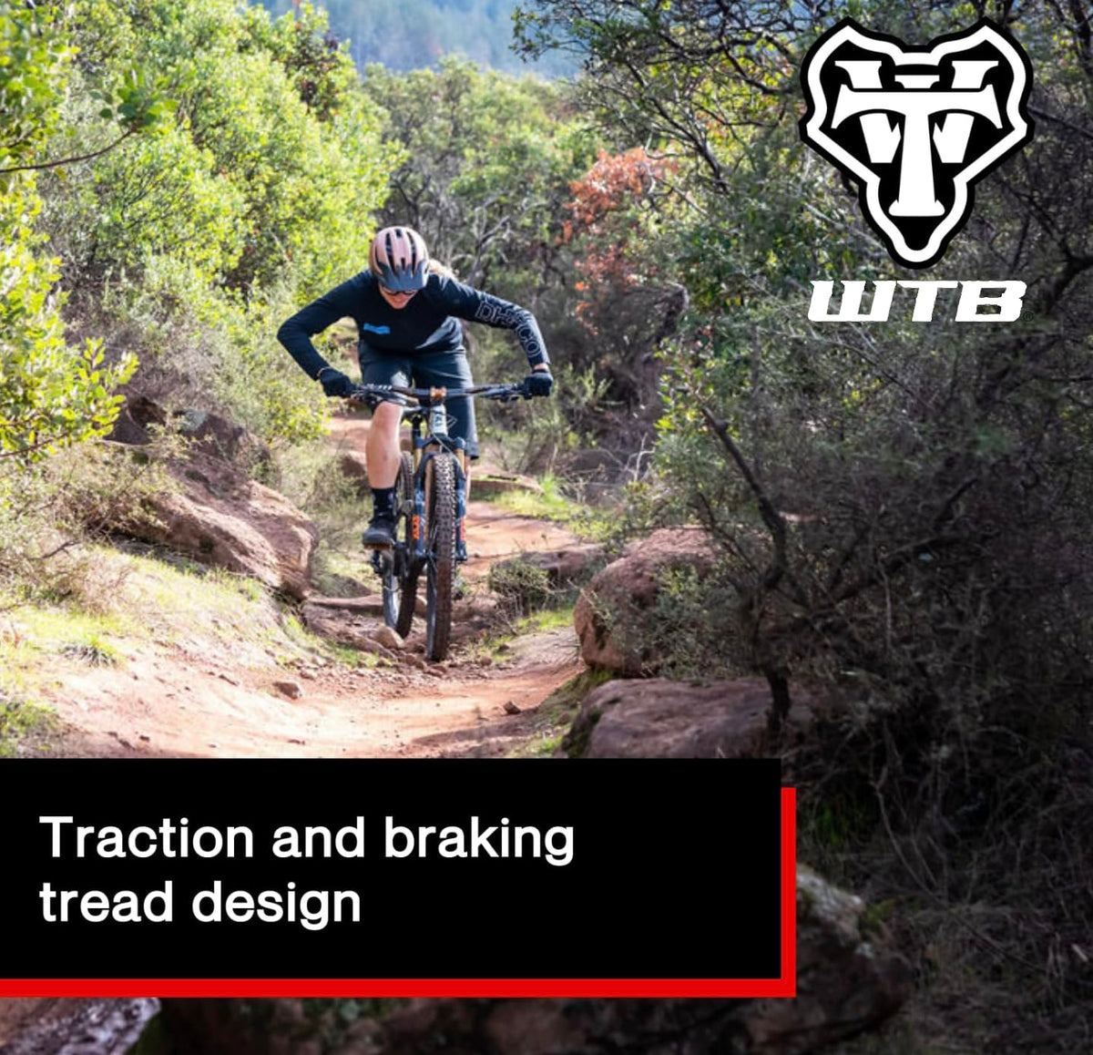 WTB Trail Boss 2,25 al resto del neumático
