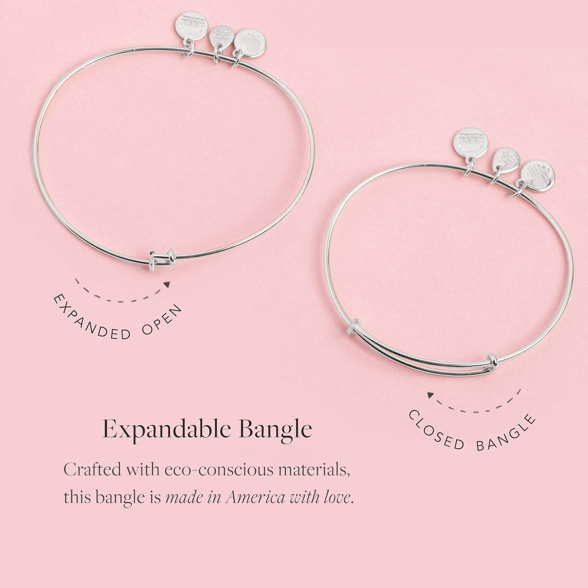 Alex and Ani Path of Symbols - Pulsera expandible para mujer