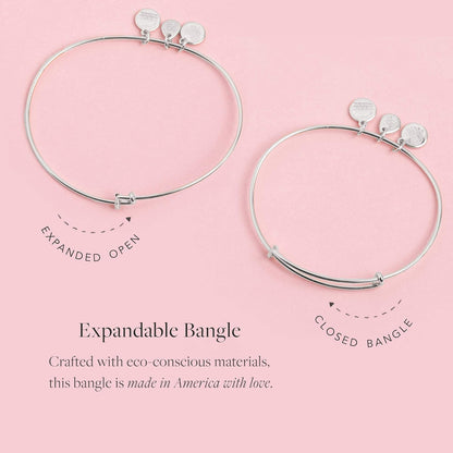 Alex and Ani Path of Symbols - Pulsera expandible para mujer
