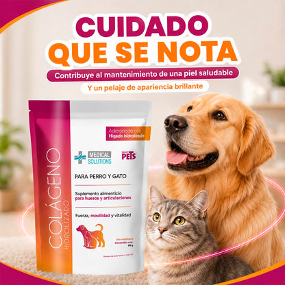 Fancy Pets Medical Solutions Colágeno Hidrolizado para Perros y Gatos - Suplemento para Articulaciones, Huesos y Piel Saludable, 200 g