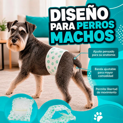 Fancy Pets Pañal para Perro Macho Tamaño Grande con 12 Piezas