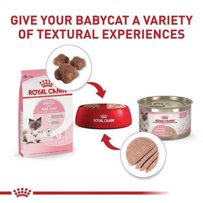 ROYAL CANIN alimento para Mother & Baby Cat 1.37 kg