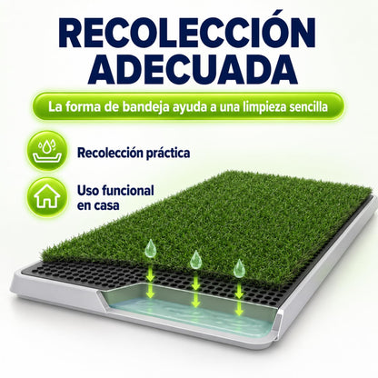 Fancy Pets Tapete de Entrenamiento para Perros Doggie Grass | Pasto Sintético con Bandeja y Rejilla | XCH 50x40 cm