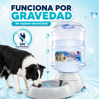 Hagen Fancy Pets Bebedero Para Perro o Gato Tamaño Grande de 3 Galones, 11.4 Litros