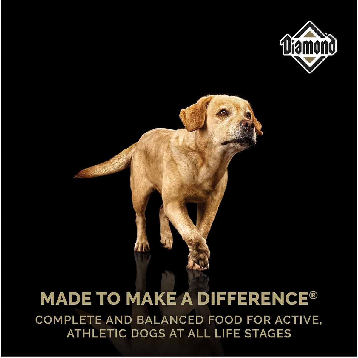 Diamond Premium Alimento para Perro Adulto Activo | Fórmula para perros adultos activos, alta proteína y energía, nutrición completa y