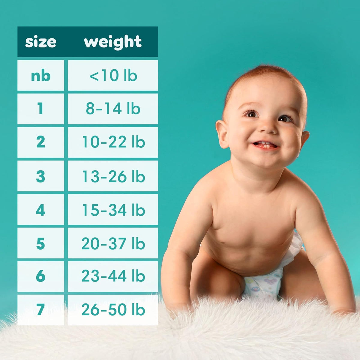 Pampers Baby-Dry Disposable Diapers Size 5, 78 Count