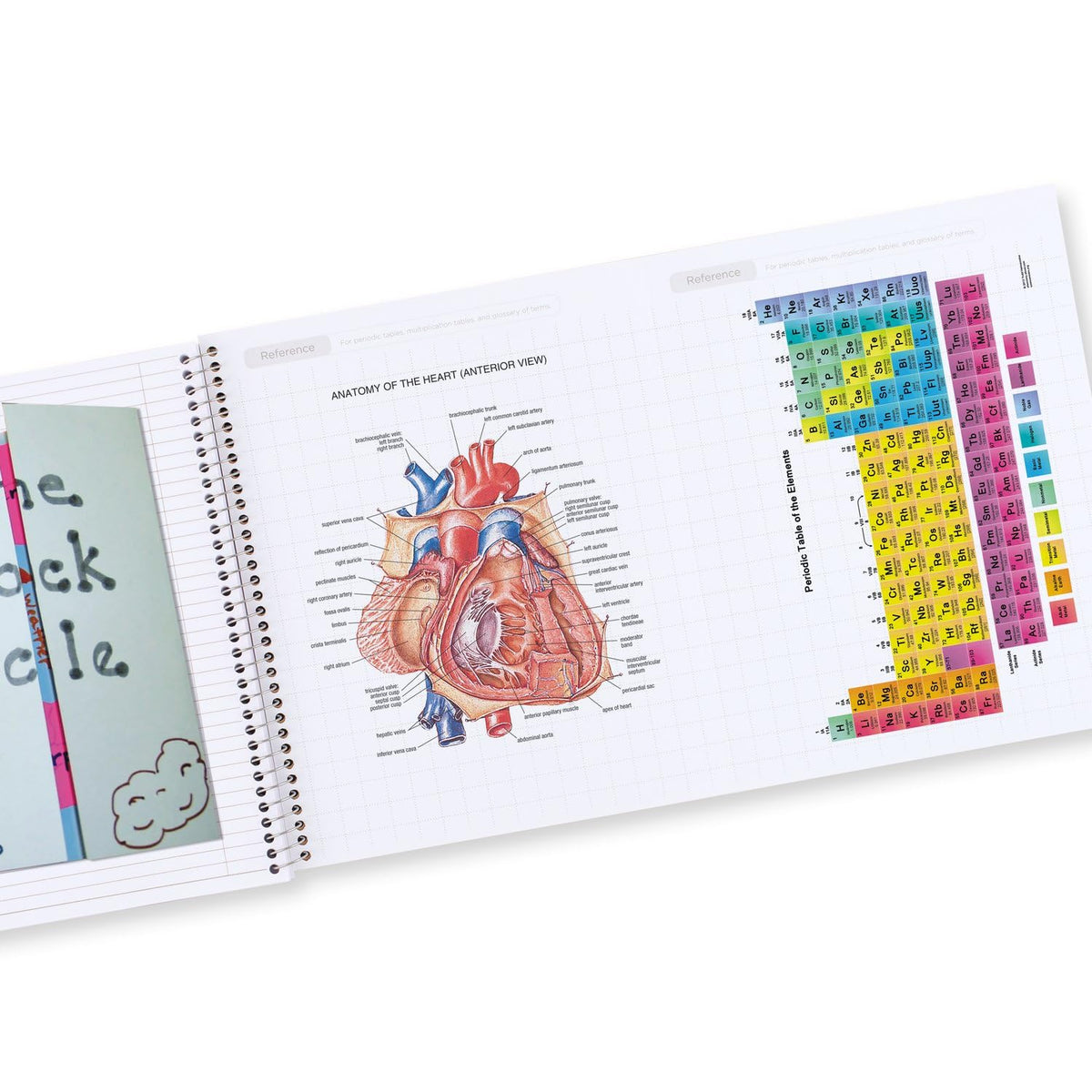Five Star - Cuaderno interactivo en espiral para tomar notas, paquete de 6, 1 tema, papel a rayas universitarias, 8-1/2 x 11 pulgadas, 100 hojas, lucha contra el sangrado de tinta, cubierta