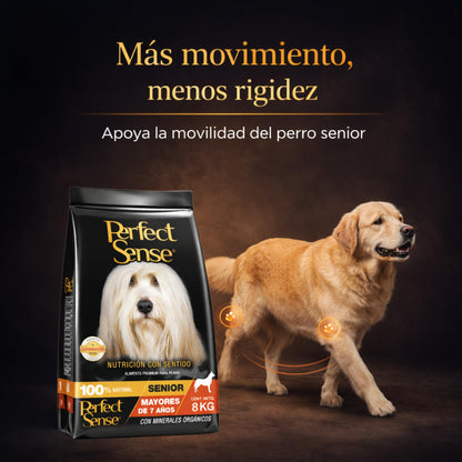 Perfect Sense Alimento Premium para Perros Senior Adultos 8 kg – Fórmula Natural para Salud Articular y Masa Muscular – Croquetas Pequeñas y Sabrosas