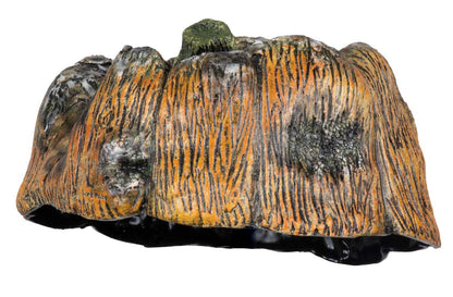 Ghoulish Productions Decoración Látex Calabaza Podrida Rotten Pumkin 5 | Decoración Halloween, Ideal Para Fiestas