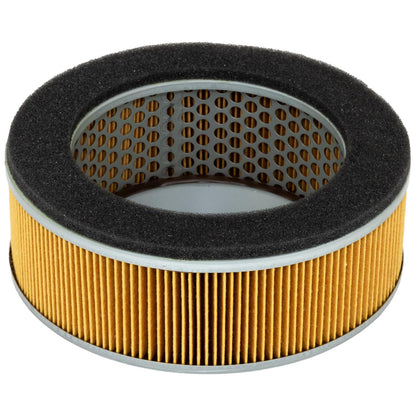 Hiflofiltro HFA2911 Filtro de Aire Premium OE de Repuesto Negro Único