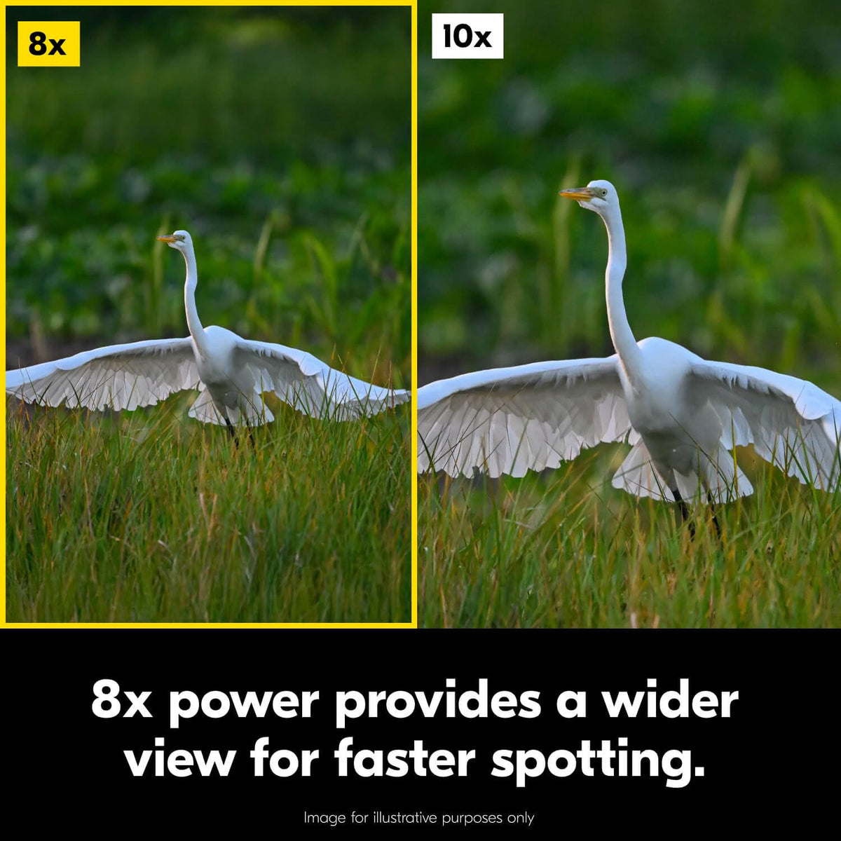 Nikon Action - Binocular de 8 x 42 | Óptica Revestimiento de Revestimiento múltiple, Brillante, Vista Amplia, Potencia 8X, caperuza Ajustable de Giro y Deslizamiento y diseño Porro-Prism