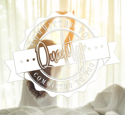 Elegant Comfort Funda de Almohada de 2 Piezas con Bordado de Calidad egipcia de 1500 Hilos, Sedosa, Suave, Resistente a Las Arrugas y a la decoloración, tamaño estándar/Queen, Color Plateado
