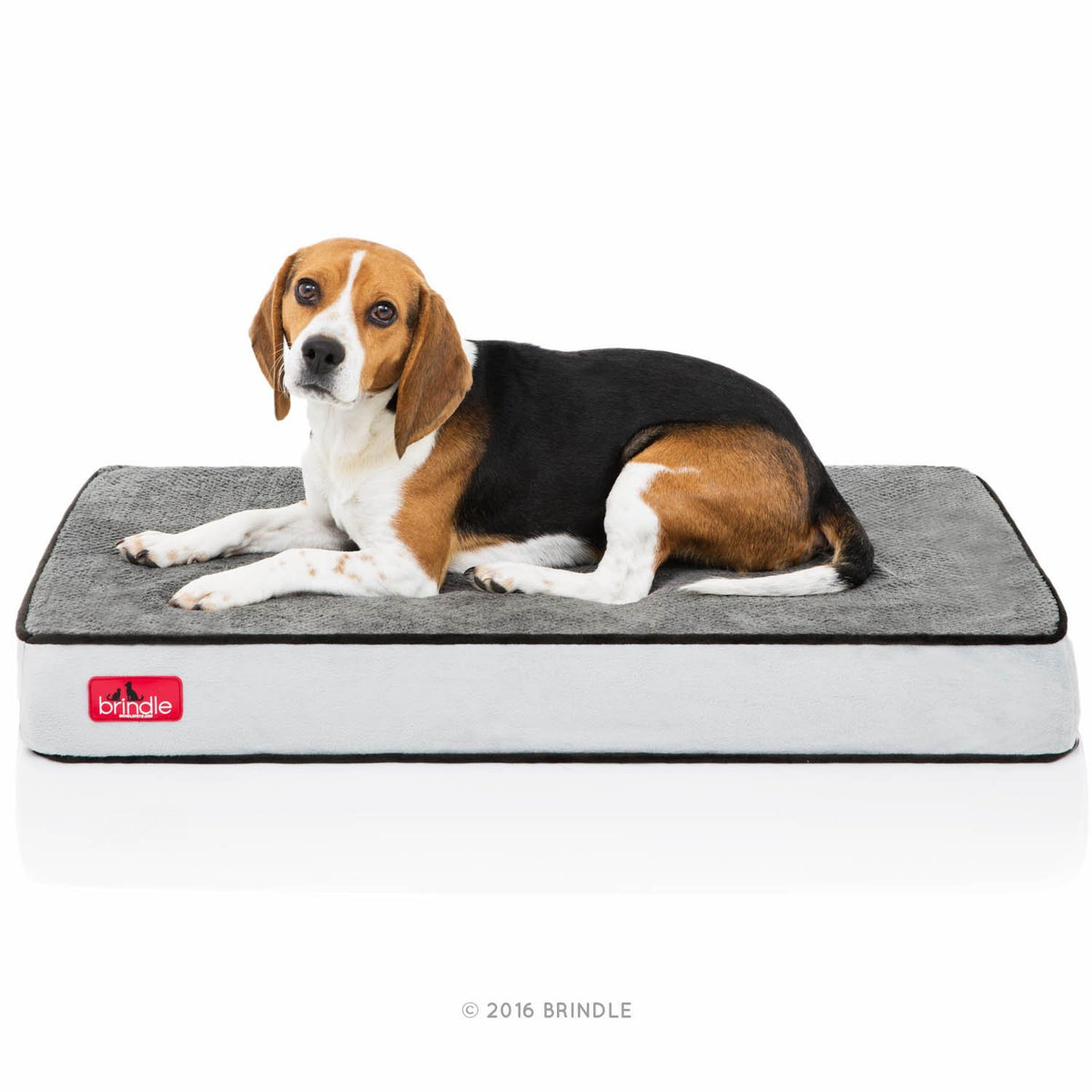 Brindle Cama para Mascotas de Memory Foam Impermeable - Carbón - Negro - 86 x 56 cm