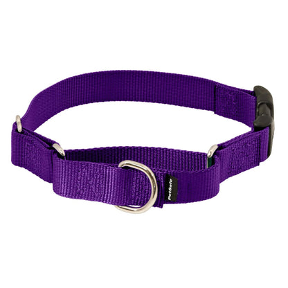 PetSafe Collar Martingale con Hebilla de Cierre Rápido para Perro - PETITE (NYLON WIDTH 3 - 8") - Púrpura profundo