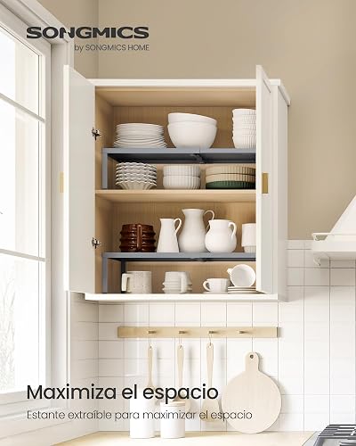 SONGMICS Juego de 2 Especieros, Extensibles, Organizador de Cocina, Estante de Cocina, Organizador de Armario, Metal, Plateado MKCS402FG01