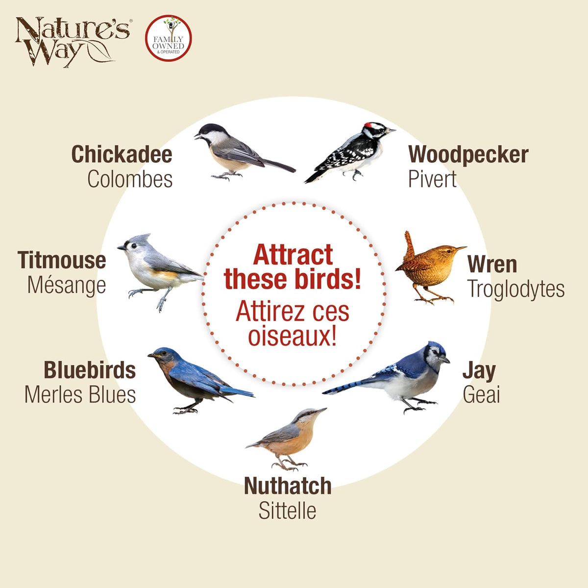 Nature's Way Bird Products CWF2 Cedar Suet Upside-Down - Alimentador para pájaros