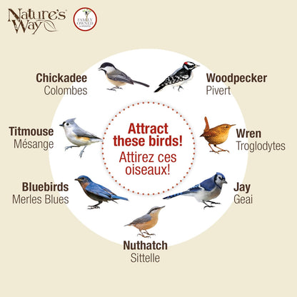 Nature's Way Bird Products CWF2 Cedar Suet Upside-Down - Alimentador para pájaros