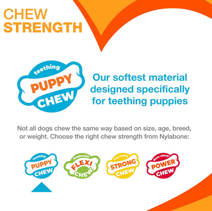 Nylabone Puppy Chew Variety Toy & Treat Triple Pack, Chicken|Lamb|Apple, 3Count, Regular, Light Blue