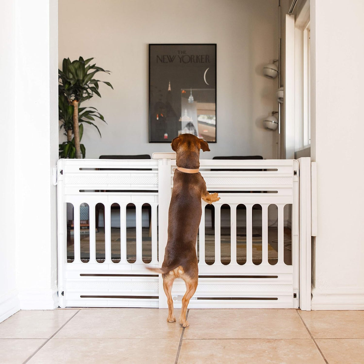 IRIS USA Barrera Ajustable para Perros 24"-39", 2 Pzas, Blanco | Área segura para interiores, barrera ajustable, instalación sin herramientas, diseño portátil y resistente