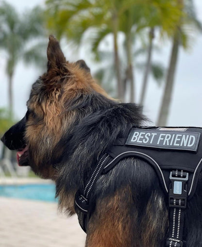Auroth - Arnés táctico para perros grandes, sin tirones, arnés ajustable para mascotas, reflectante, K9, entrenamiento, trabajo, de fácil control, chaleco de servicio militar para perros (L, negro)
