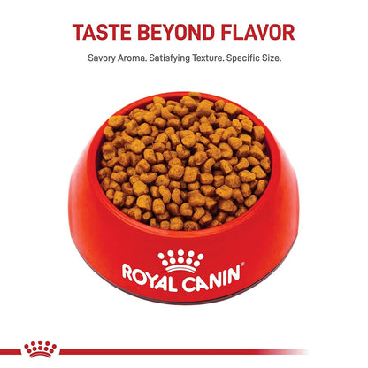 ROYAL CANIN, Puppy - Shih-Tzu, Croquetas para Perro, 1.1kg