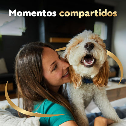 Cesar - Sobres de Alimento para Perros Adultos, Sabor Cordero y Vegetales, 75g c/u., Paquete de 24 Sobres
