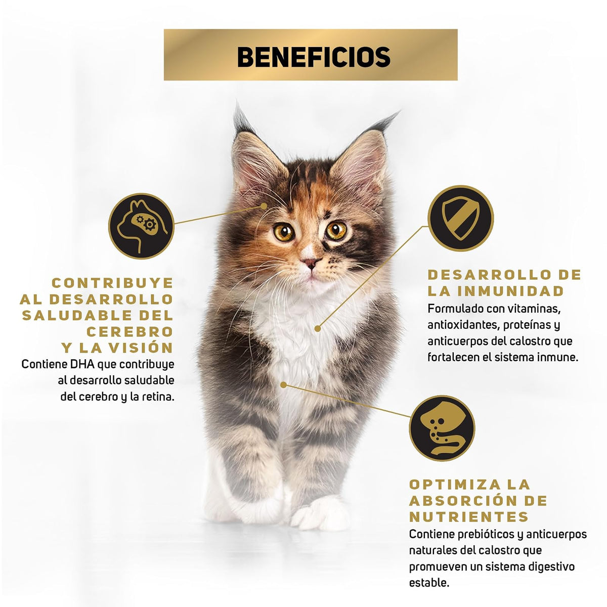 Purina Pro Plan Gatito Sabor Pollo 3Kg
