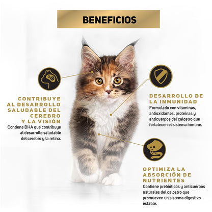 Purina Pro Plan Gatito Sabor Pollo 3Kg