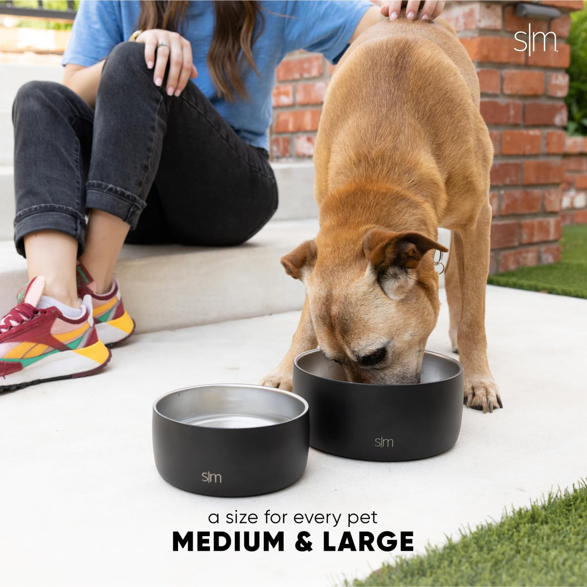 Simple Modern Acero Inoxidable El Tazón de Agua para Mascotas | Acero Inoxidable Aislado y Reutilizable Tazones de Comida para Perro Gato | Bentley Colección| Medio | Sea Glass Sage
