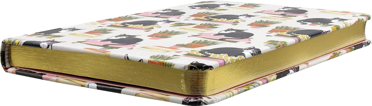 Smarty Cats Journal