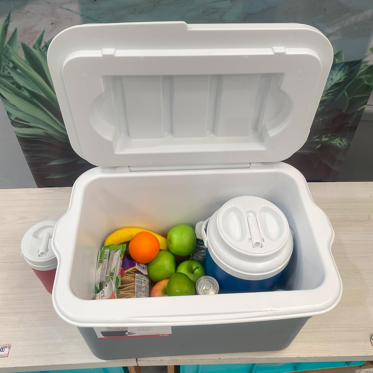 ESTRA Hielera Familiar Insulada 42 L (44 QT) | Espacio para 60 latas | Mantiene frío por Tiempo prolongado | Asas Laterales portátiles | Perfecta para Camping, Picnic, Playa y Viajes