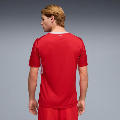 Puma SFV Home Jersey Replica Jersey Hombre