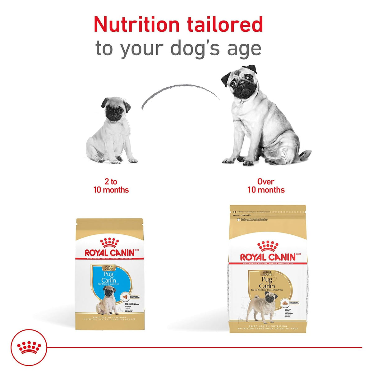 ROYAL CANIN, Puppy - Pug, Croquetas para Perro, 1.1kg