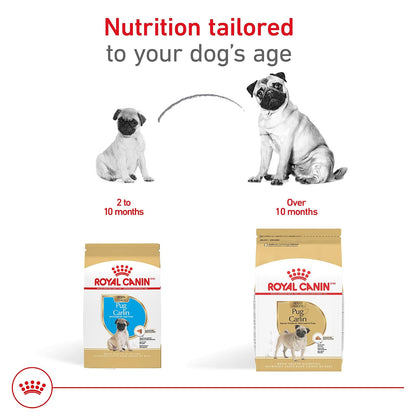 ROYAL CANIN, Puppy - Pug, Croquetas para Perro, 1.1kg