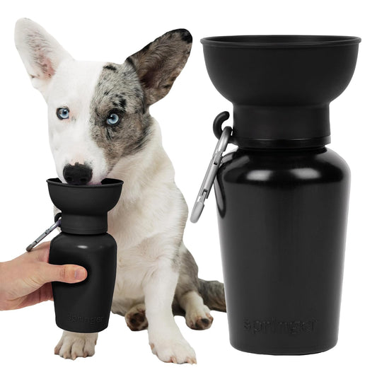 Springer Flip Botella de Agua para Perros 20 oz | Tazón de silicona plegable, a prueba de fugas, grado alimentario, sin BPA, mosquetón incluido