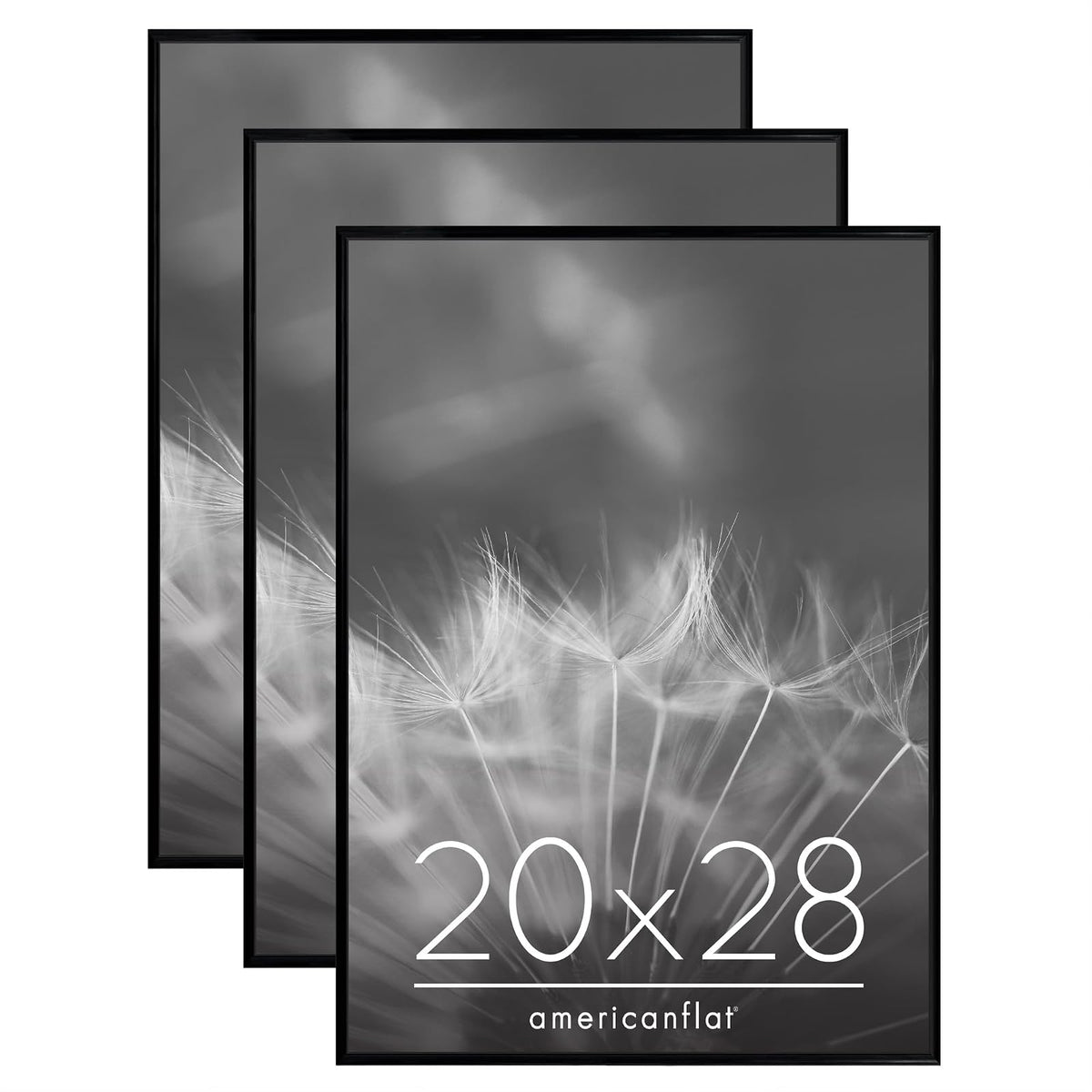 Americanflat Marco de Póster 24x36 Pulgadas Set de 3 - 50,8 x 71,12 cm (20 x 28 pulg.)