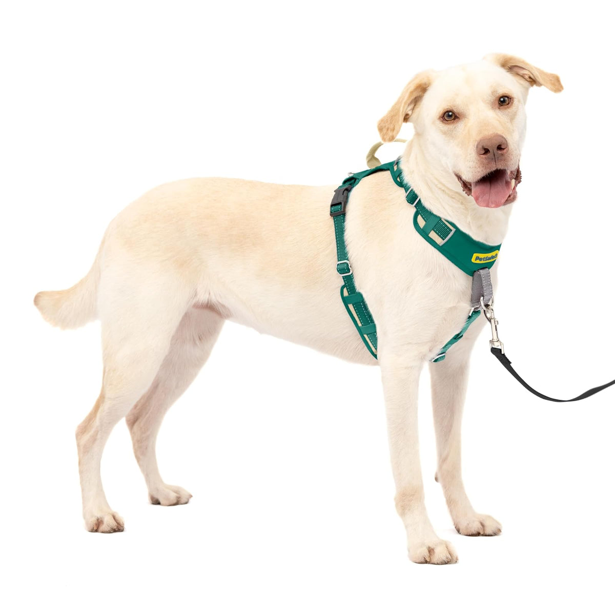 PetSafe Easy Walk Arnés sin Tirones para Perro - Verde - Large