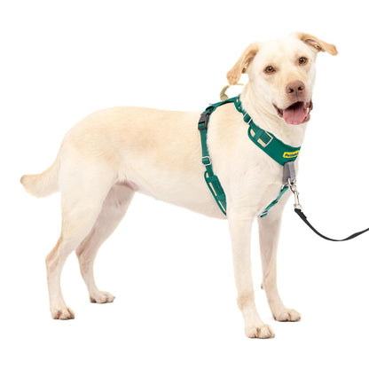 PetSafe Easy Walk Arnés sin Tirones para Perro - Verde - Large