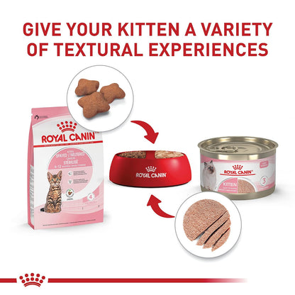 ROYAL CANIN Kitten para Gatito Esterilizado 1.1 Kg