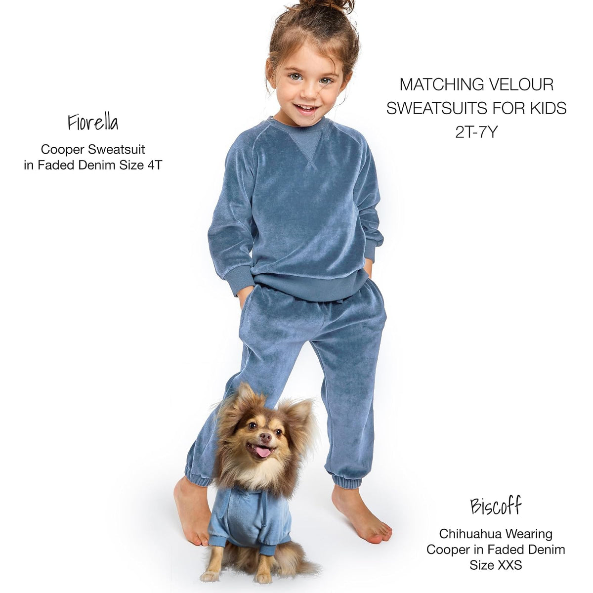 Pet Passion - Chamarra con Capucha para Perros pequeños, medianos y Grandes, Tela Vaquera decolorada, Talla XXL