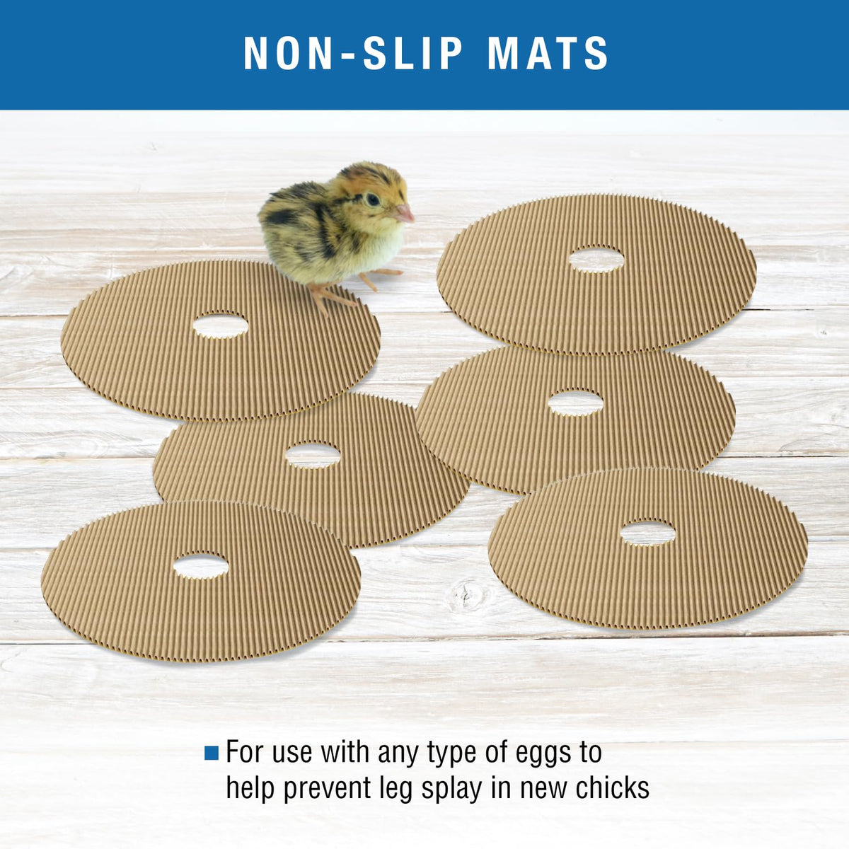 Brinsea Products Maxi II - Colchoneta para incubadoras de Huevos, Talla única