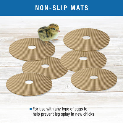 Brinsea Products Maxi II - Colchoneta para incubadoras de Huevos, Talla única